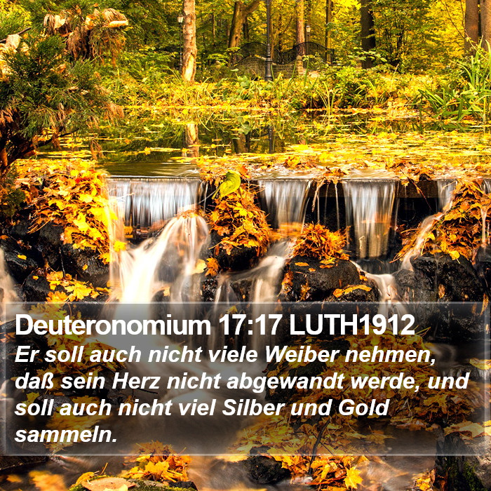 Deuteronomium 17:17 LUTH1912 Bible Study