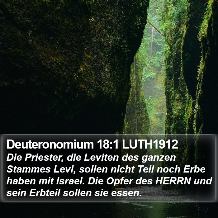 Deuteronomium 18:1 LUTH1912 Bible Study