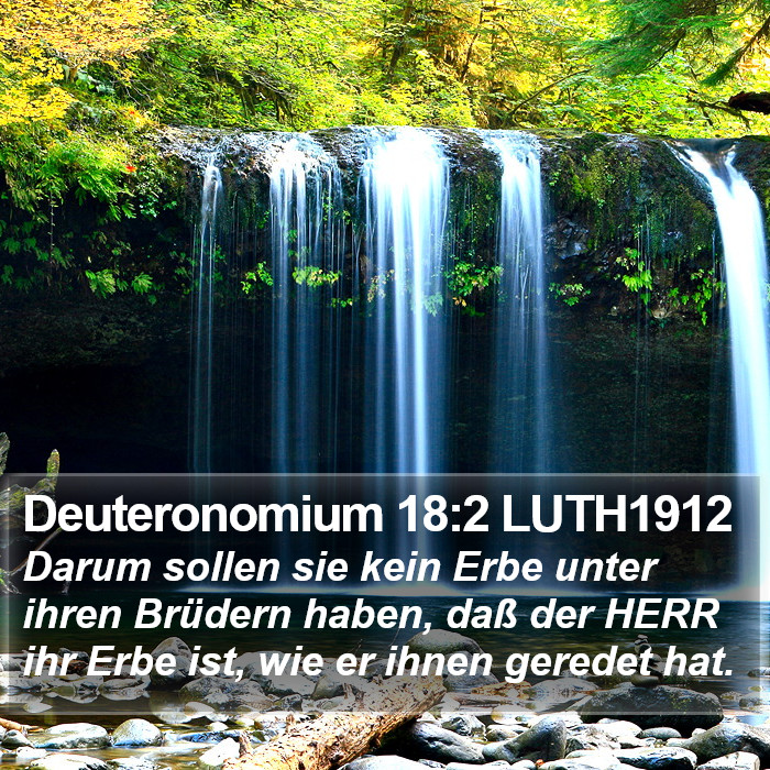 Deuteronomium 18:2 LUTH1912 Bible Study