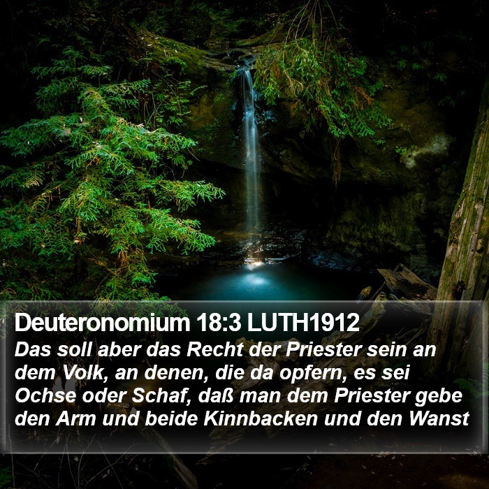 Deuteronomium 18:3 LUTH1912 Bible Study