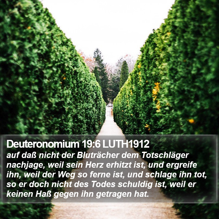 Deuteronomium 19:6 LUTH1912 Bible Study