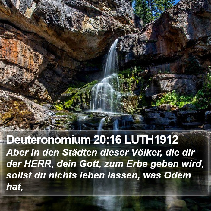 Deuteronomium 20:16 LUTH1912 Bible Study