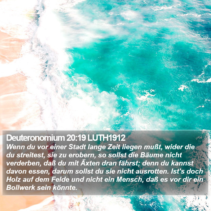 Deuteronomium 20:19 LUTH1912 Bible Study