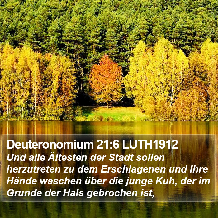 Deuteronomium 21:6 LUTH1912 Bible Study