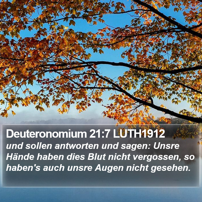 Deuteronomium 21:7 LUTH1912 Bible Study