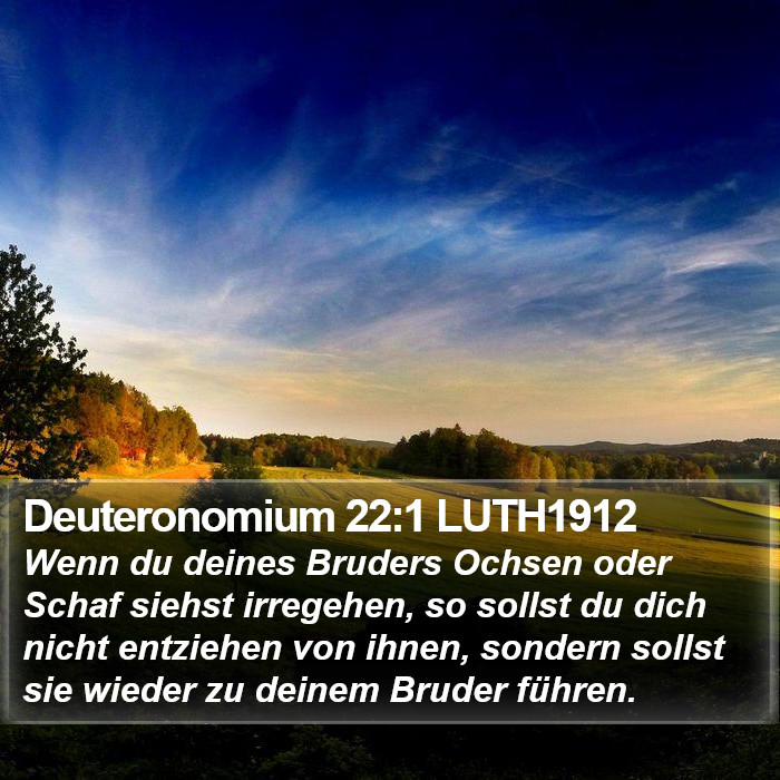 Deuteronomium 22:1 LUTH1912 Bible Study