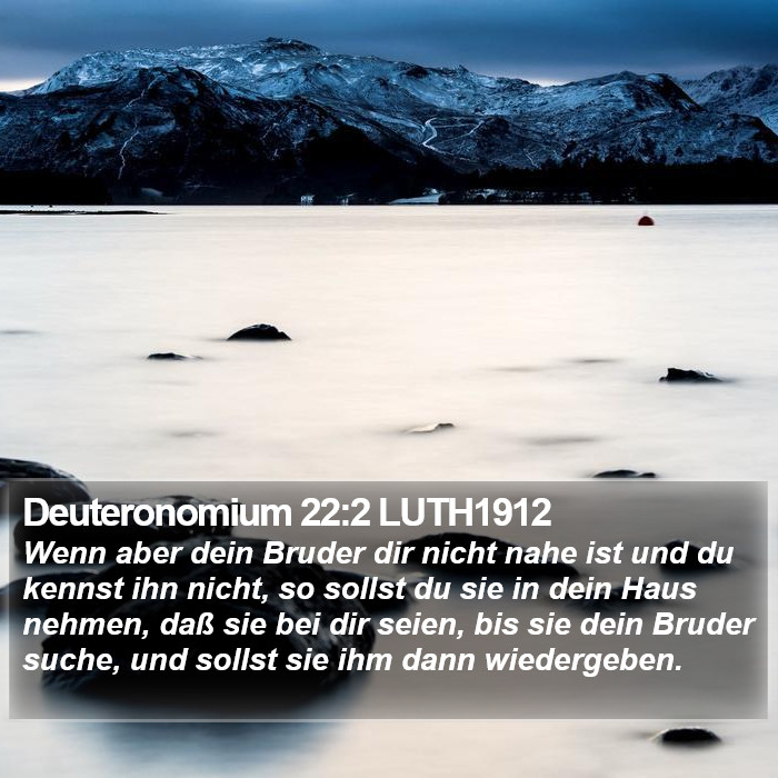 Deuteronomium 22:2 LUTH1912 Bible Study