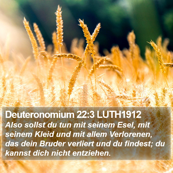Deuteronomium 22:3 LUTH1912 Bible Study