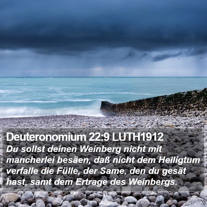 Deuteronomium 22:9 LUTH1912 Bible Study