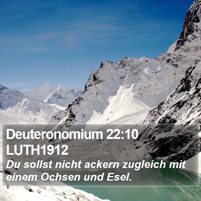 Deuteronomium 22:10 LUTH1912 Bible Study