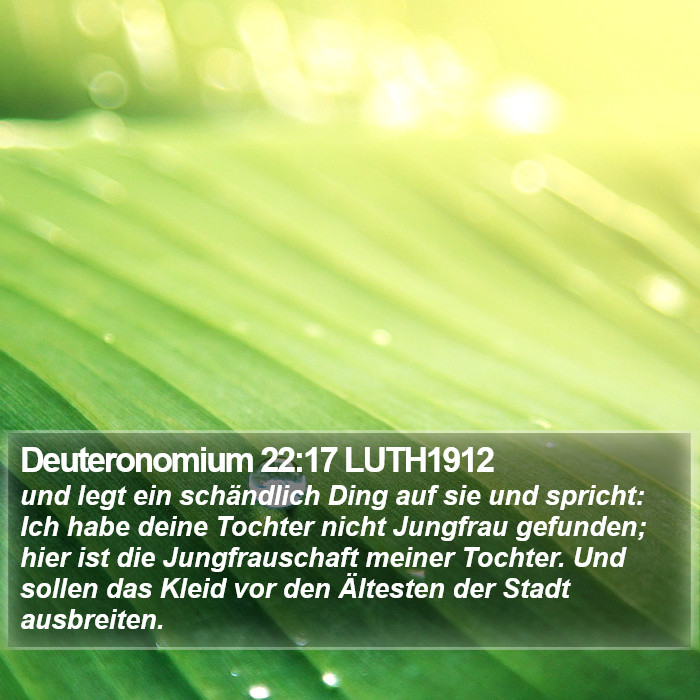 Deuteronomium 22:17 LUTH1912 Bible Study