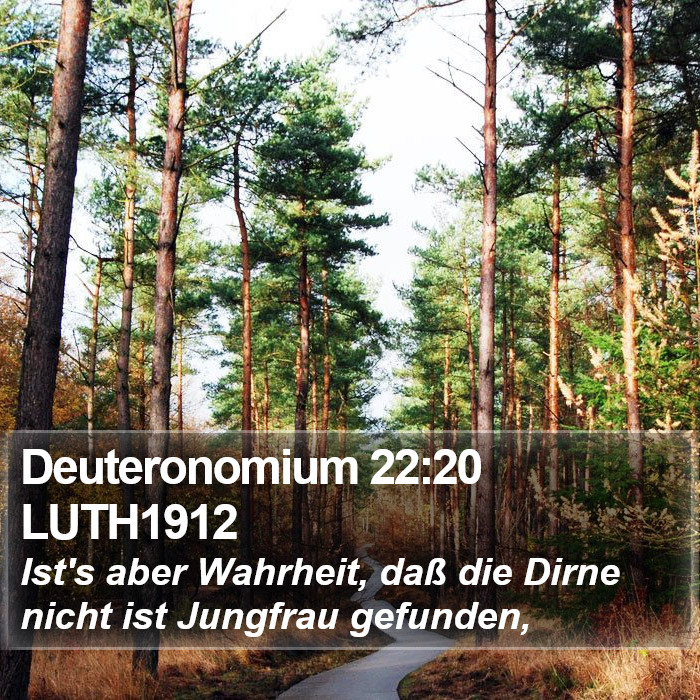 Deuteronomium 22:20 LUTH1912 Bible Study