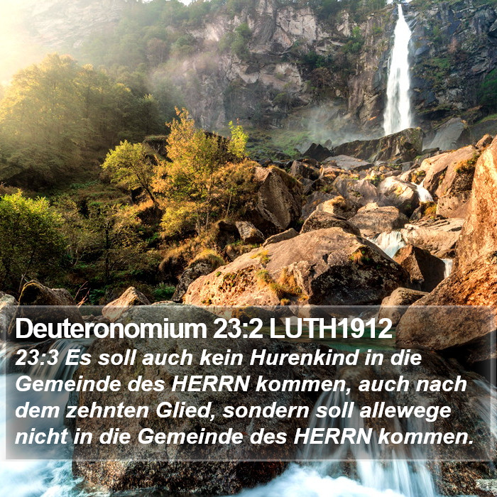 Deuteronomium 23:2 LUTH1912 Bible Study