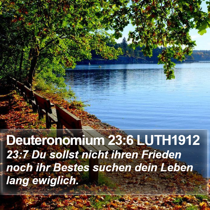 Deuteronomium 23:6 LUTH1912 Bible Study