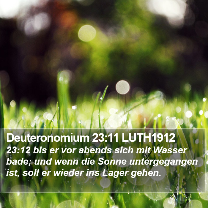 Deuteronomium 23:11 LUTH1912 Bible Study