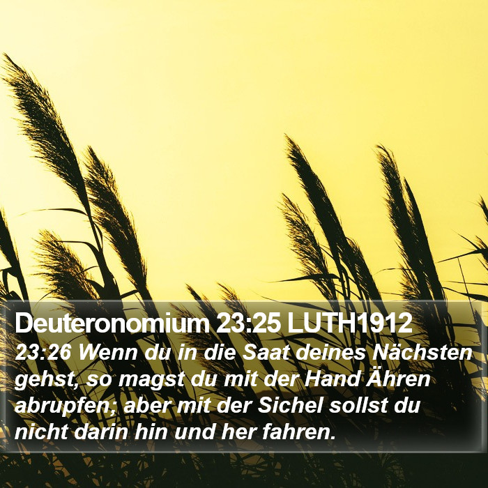 Deuteronomium 23:25 LUTH1912 Bible Study