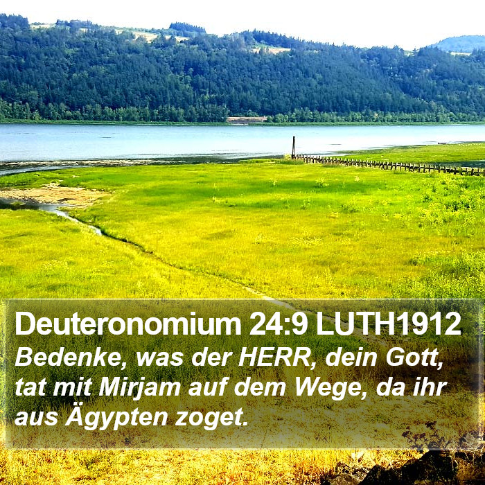 Deuteronomium 24:9 LUTH1912 Bible Study