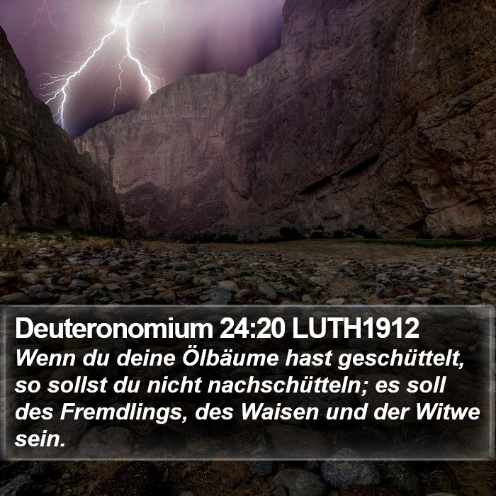 Deuteronomium 24:20 LUTH1912 Bible Study