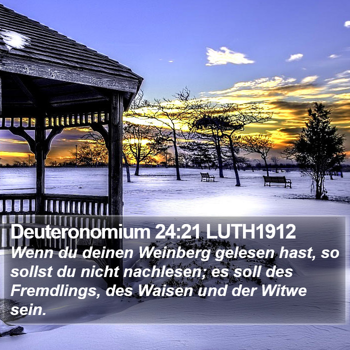 Deuteronomium 24:21 LUTH1912 Bible Study