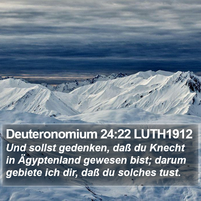 Deuteronomium 24:22 LUTH1912 Bible Study