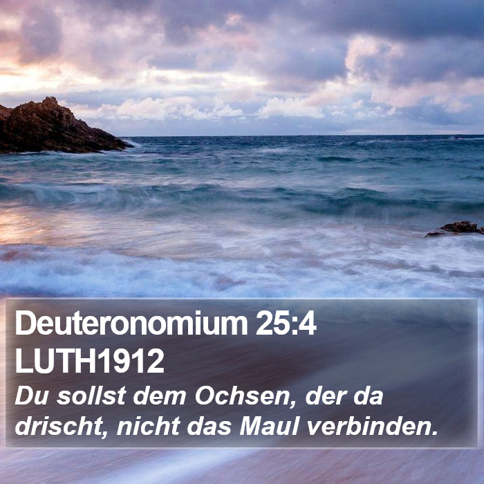 Deuteronomium 25:4 LUTH1912 Bible Study