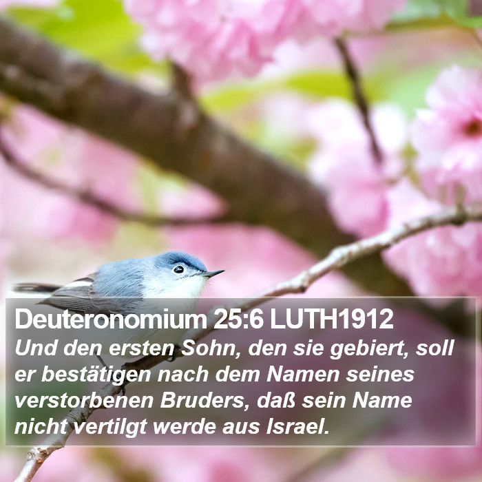 Deuteronomium 25:6 LUTH1912 Bible Study