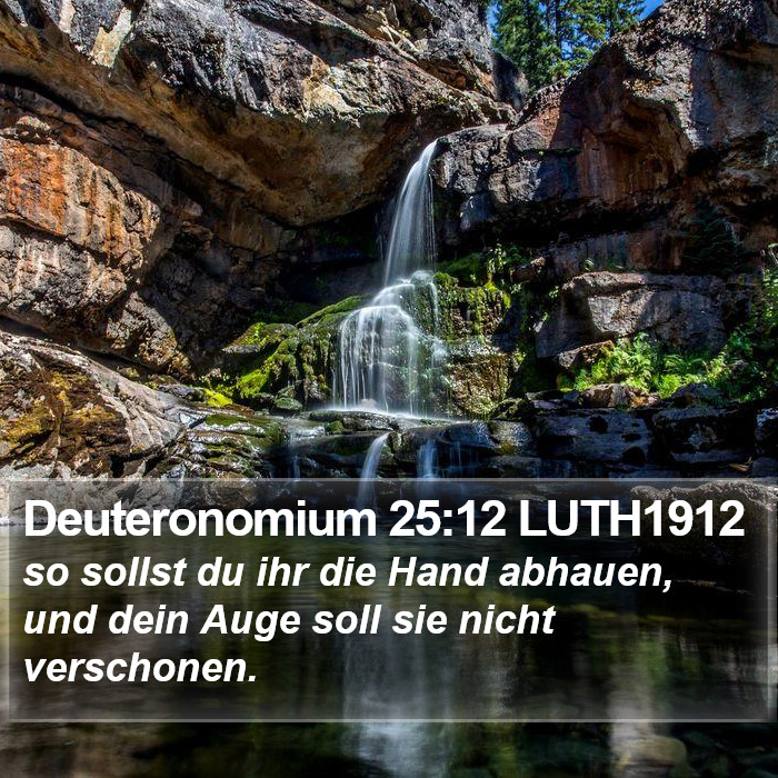 Deuteronomium 25:12 LUTH1912 Bible Study