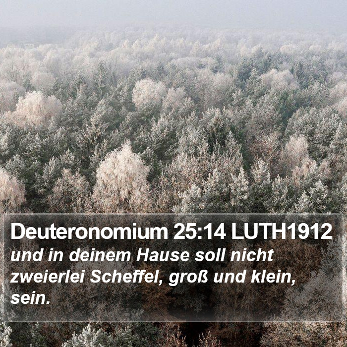 Deuteronomium 25:14 LUTH1912 Bible Study