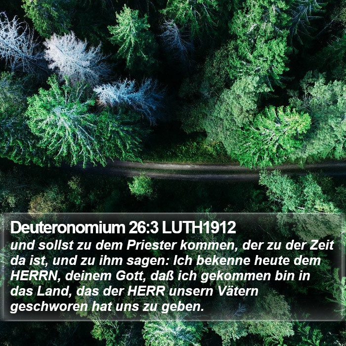 Deuteronomium 26:3 LUTH1912 Bible Study