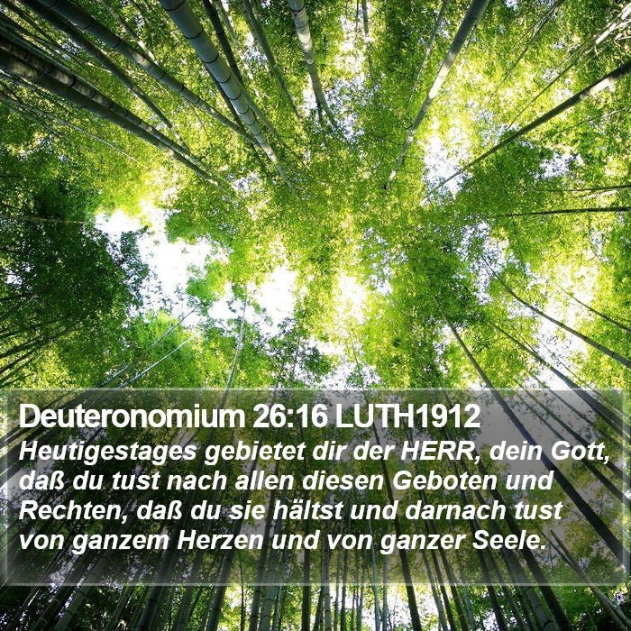 Deuteronomium 26:16 LUTH1912 Bible Study