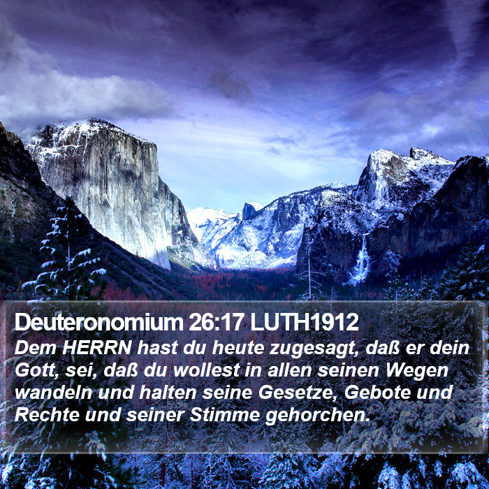 Deuteronomium 26:17 LUTH1912 Bible Study