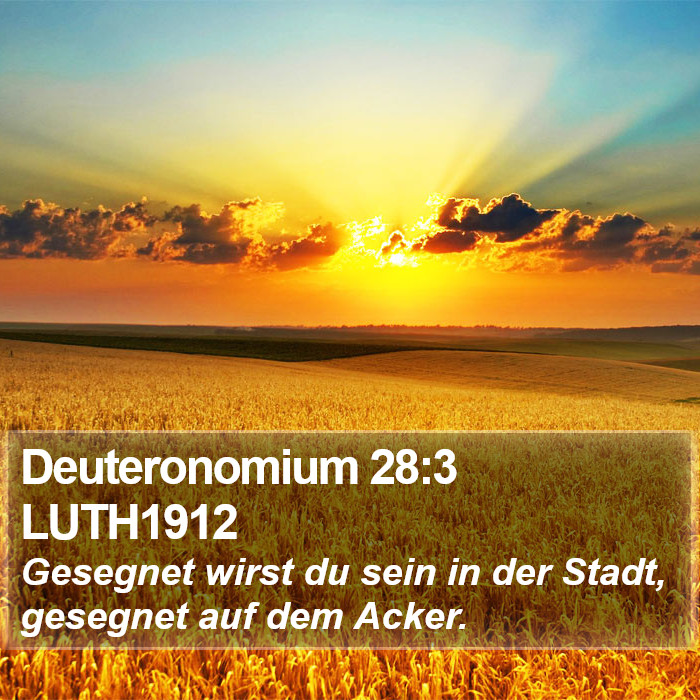 Deuteronomium 28:3 LUTH1912 Bible Study