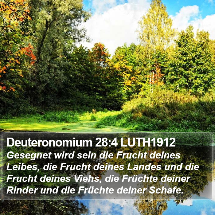 Deuteronomium 28:4 LUTH1912 Bible Study