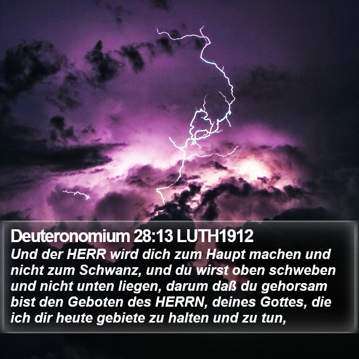 Deuteronomium 28:13 LUTH1912 Bible Study