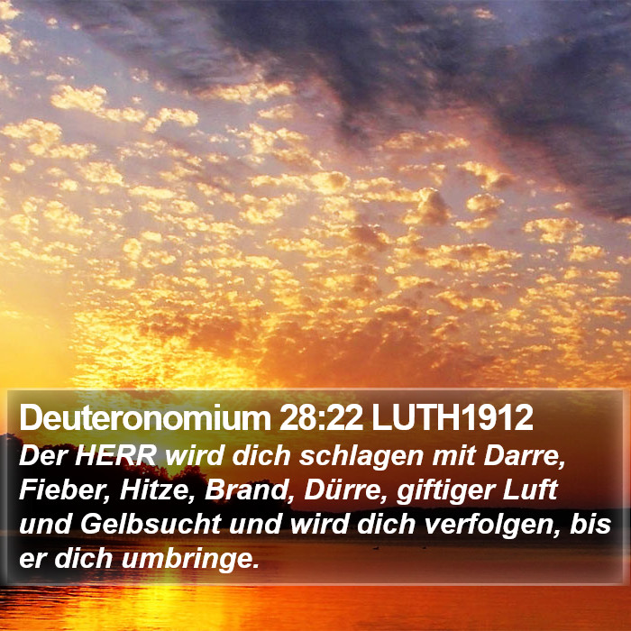 Deuteronomium 28:22 LUTH1912 Bible Study