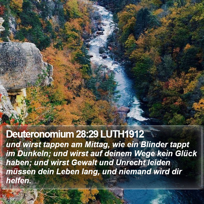 Deuteronomium 28:29 LUTH1912 Bible Study