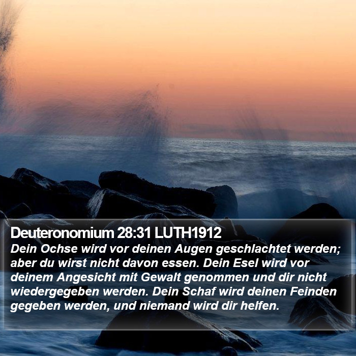 Deuteronomium 28:31 LUTH1912 Bible Study