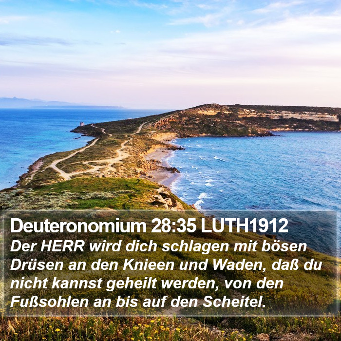 Deuteronomium 28:35 LUTH1912 Bible Study