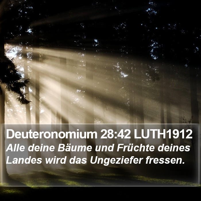 Deuteronomium 28:42 LUTH1912 Bible Study