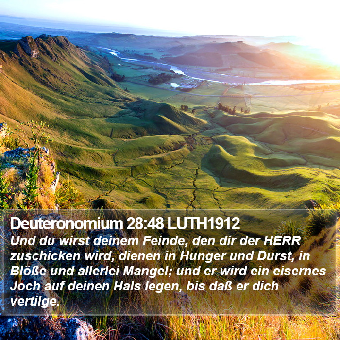 Deuteronomium 28:48 LUTH1912 Bible Study