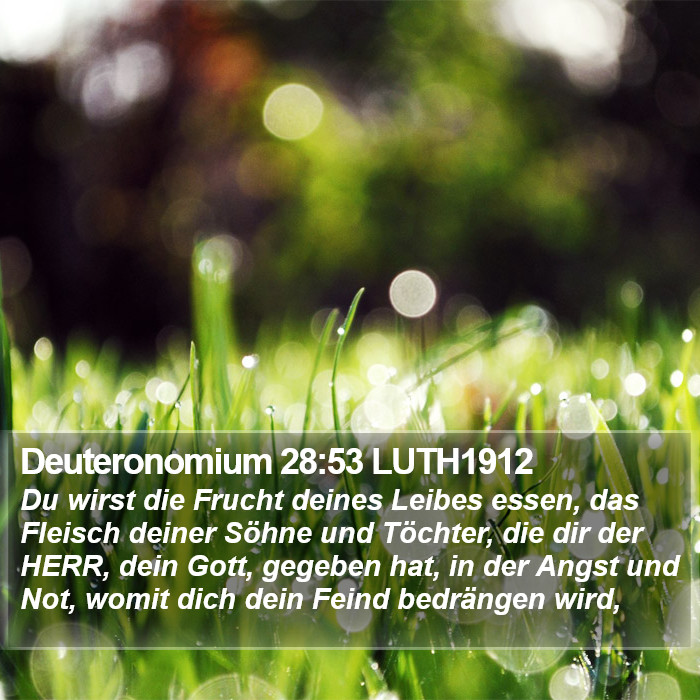 Deuteronomium 28:53 LUTH1912 Bible Study