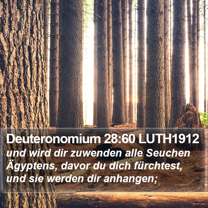 Deuteronomium 28:60 LUTH1912 Bible Study