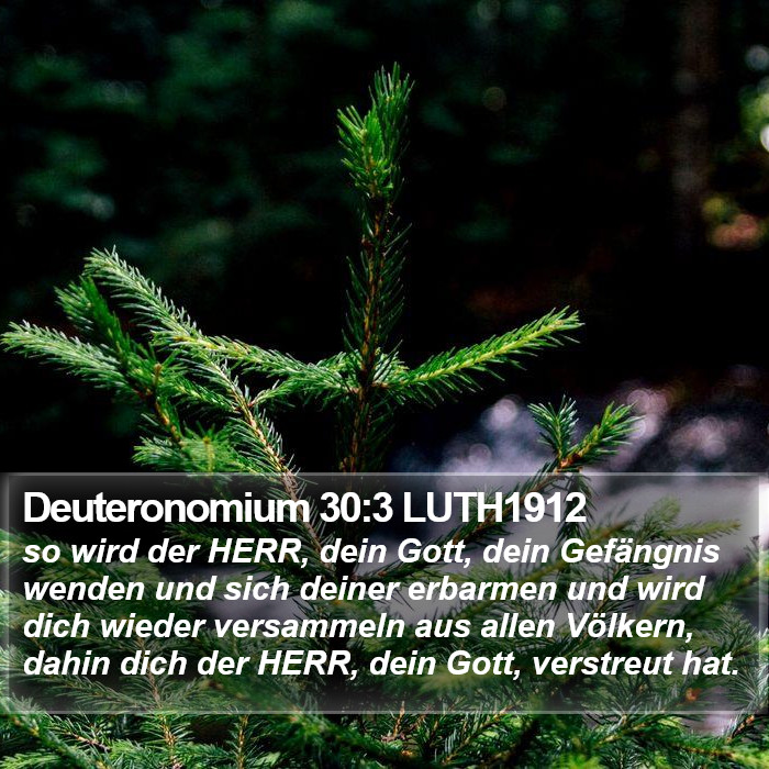 Deuteronomium 30:3 LUTH1912 Bible Study