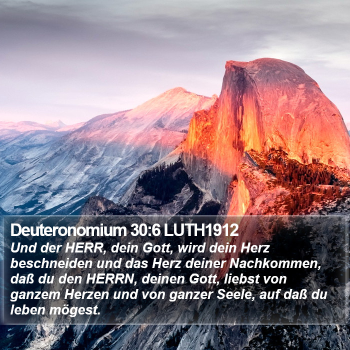 Deuteronomium 30:6 LUTH1912 Bible Study
