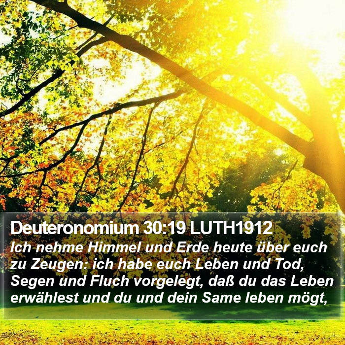Deuteronomium 30:19 LUTH1912 Bible Study