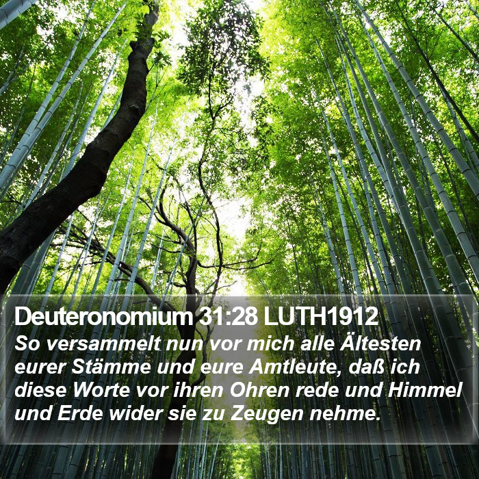 Deuteronomium 31:28 LUTH1912 Bible Study