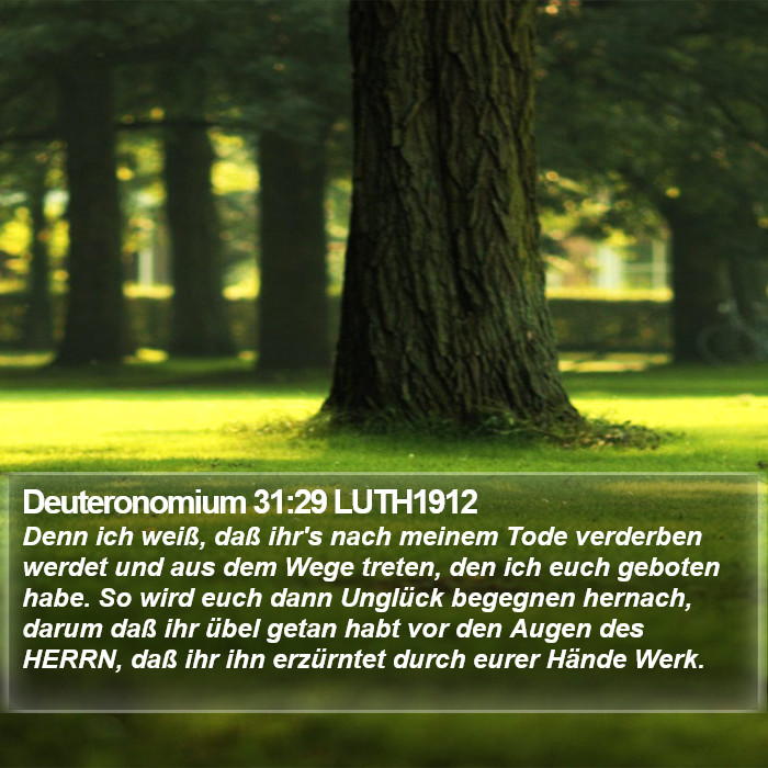 Deuteronomium 31:29 LUTH1912 Bible Study