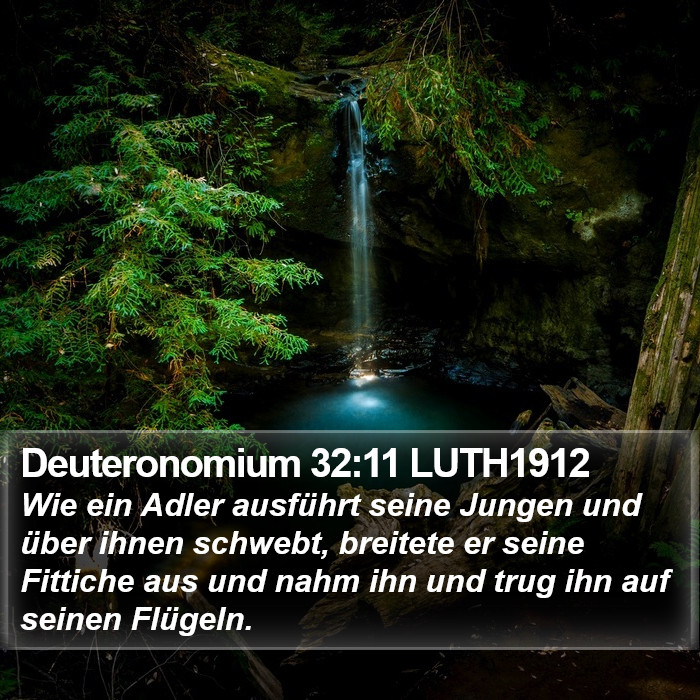 Deuteronomium 32:11 LUTH1912 Bible Study