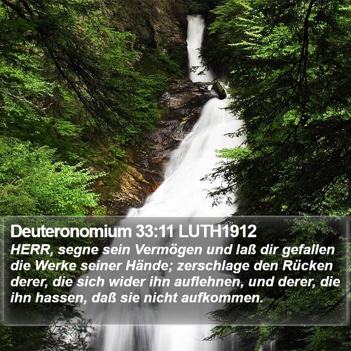 Deuteronomium 33:11 LUTH1912 Bible Study