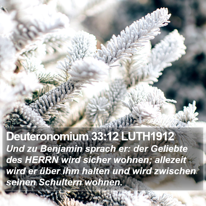 Deuteronomium 33:12 LUTH1912 Bible Study